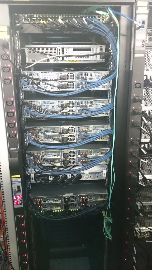 OBS lamb workers mounted - backside