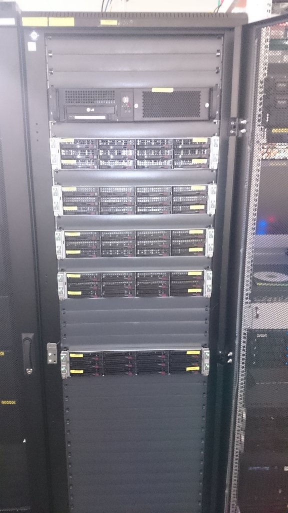 OBS lamb workers mounted frontside